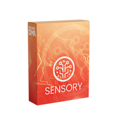 SENSORY ✕ DEXAIMDMA